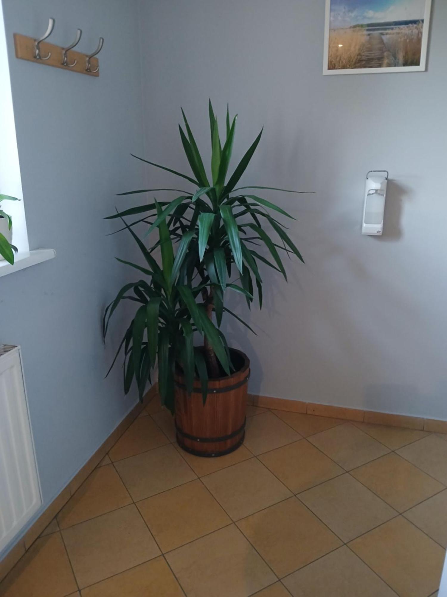 Dom Brama Mazur Bed & Breakfast Ostróda Dış mekan fotoğraf